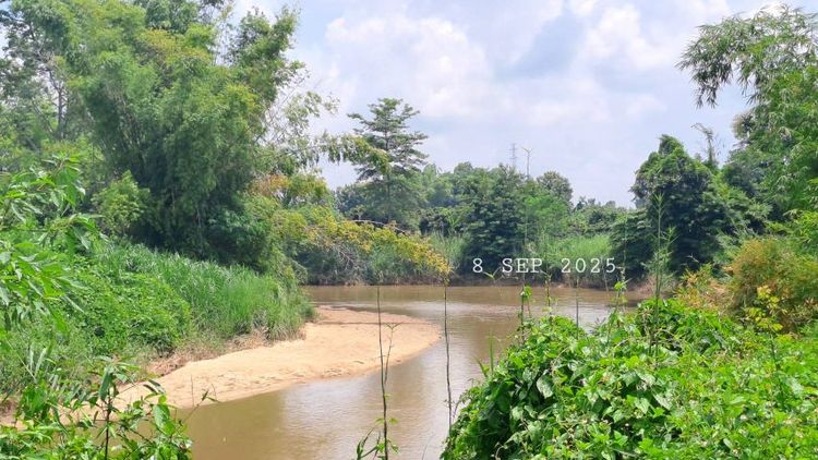 ไม่ใช่ ติดแม่น้ำติดถนนคอนกรีต เจ้าของขายเอง ใกล้ทางขึ้นดอยอินทนนท์ รูปที่ 4