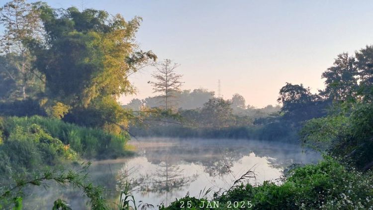 ติดแม่น้ำติดถนนคอนกรีต เจ้าของขายเอง ใกล้ทางขึ้นดอยอินทนนท์