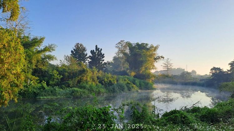 ไม่ใช่ ติดแม่น้ำติดถนนคอนกรีต เจ้าของขายเอง ใกล้ทางขึ้นดอยอินทนนท์ รูปที่ 2