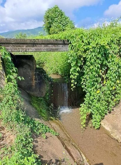 ไม่ใช่ ขายสวนลำไยเชิงดอย เจ้าของขายเอง อ.จอมทอง จ.เชียงใหม่ รูปที่ 2