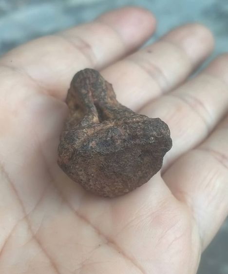 ปิดตา ว่านจำปาสัก จาก สปป.ลาว รูปที่ 3