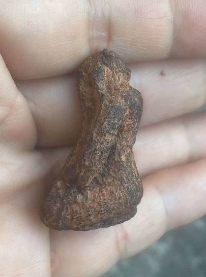 ปิดตา ว่านจำปาสัก จาก สปป.ลาว รูปที่ 4