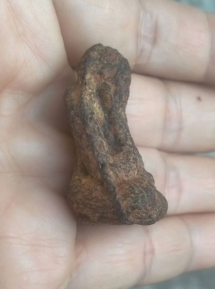 ปิดตา ว่านจำปาสัก จาก สปป.ลาว รูปที่ 5