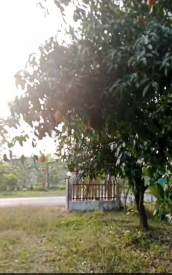 ขายบ้านพร้อมที่ดิน ใกล้รร.นายร้อยจปร. นครนายก รูปที่ 2