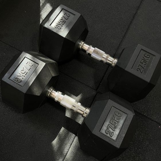 ดัมเบล 27.5kg 1 คู่