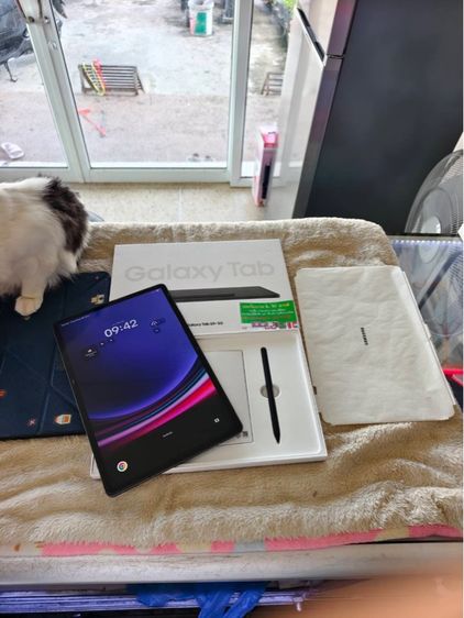 Apple 256 GB Samsung Galaxy Tab S9 Plus 5G (12 256GB) Graphite 