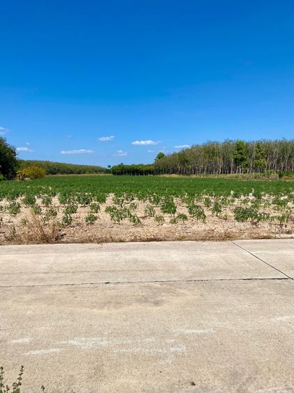 ที่ดินสวย ใกล้หาดสวนสน ระยอง