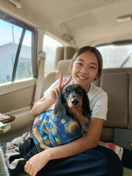 เปิดรับผสมดัชชุนขนยาว ไซส์มินิ รูปที่ 2