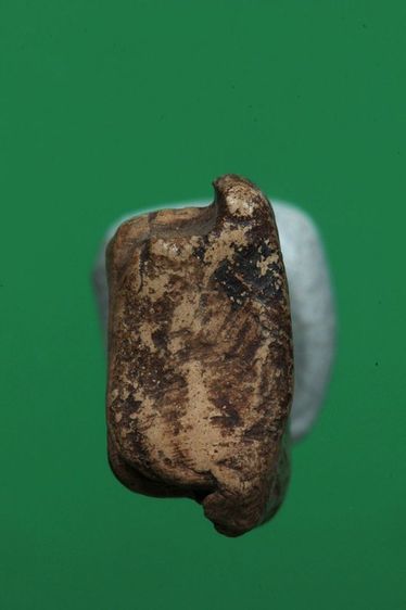 พระรอดค่ะ รูปที่ 5