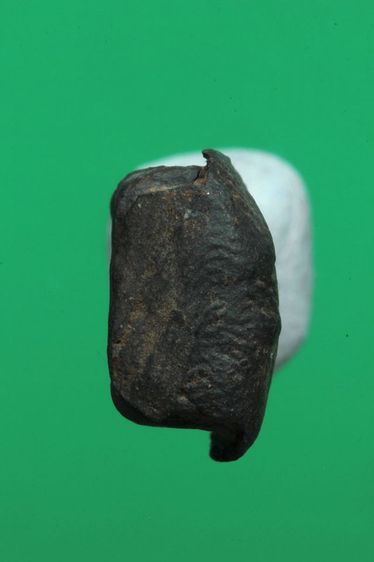 พระรอดค่ะ รูปที่ 5