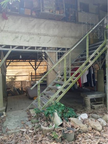 ไม่มี 2020 ใช่ บ้านสวนร่มไม้ รูปที่ 2