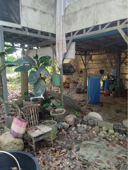 ไม่มี 2020 ใช่ บ้านสวนร่มไม้ รูปที่ 3