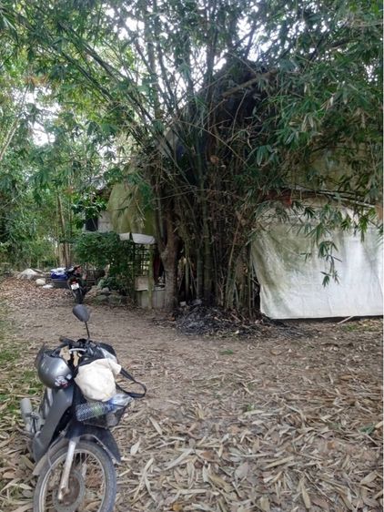 บ้านสวนร่มไม้