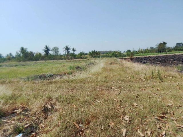 ใช่ ขายที่ดิน 80 ตรว. ราคาไม่ถึงแสน รูปที่ 4