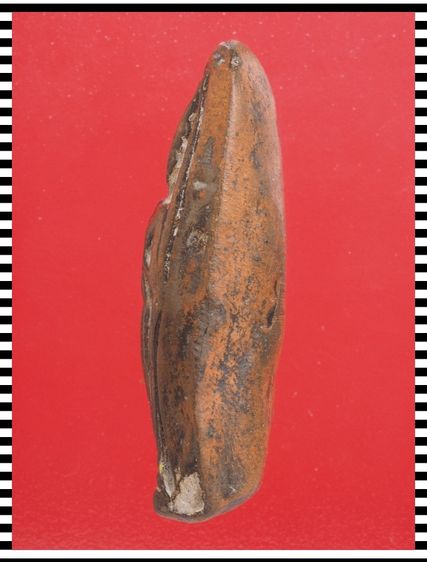 s111-s112.พระสมเด็จ-พระลีลา องค์ๆละ 419 บ. พร้อมส่ง EMS คะ รูปที่ 6