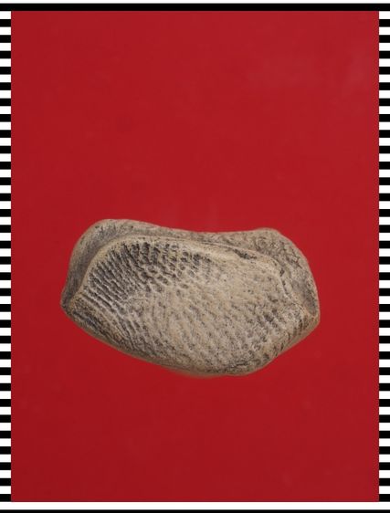 s119-s120.พระปิดตา-พระรอด องค์ๆละ 419 บ. พร้อมส่ง EMS คะ รูปที่ 11