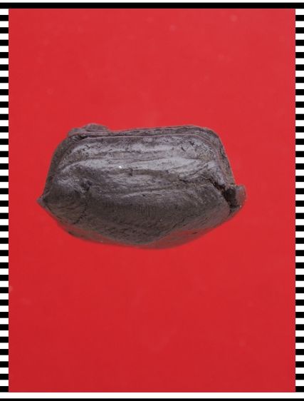 s123-s124.พระปิดตา-พระรอด องค์ๆละ 419 บ. พร้อมส่ง EMS คะ รูปที่ 11