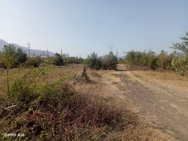 ใช่ ขายที่ดิน 100 ตรว. ราคาไม่ถึงแปดหมื่น รูปที่ 4