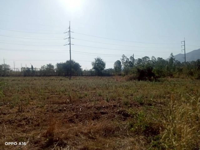 ใช่ ขายที่ดิน 100 ตรว. ราคาไม่ถึงแปดหมื่น รูปที่ 2