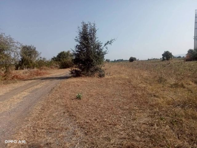 ใช่ ขายที่ดิน 100 ตรว. ราคาไม่ถึงแปดหมื่น รูปที่ 3