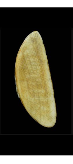 งอ แกะหลวงพ่อเดิมเนื้อเก่าๆ รูปที่ 3