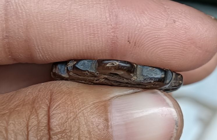 กะลา 1 องค์ รูปที่ 5