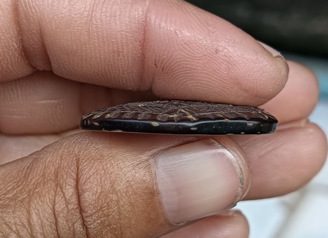 กะลา 1 องค์ รูปที่ 6