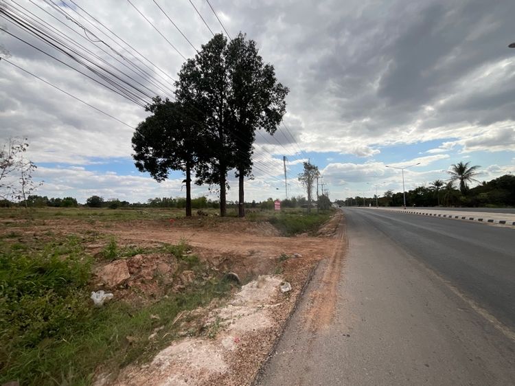 ขายที่ดินติดถนน 4 เลน  ปากทางเขื่อนลำปาว อำเภอเมือง จังหวัดกาฬสินธุ์ 