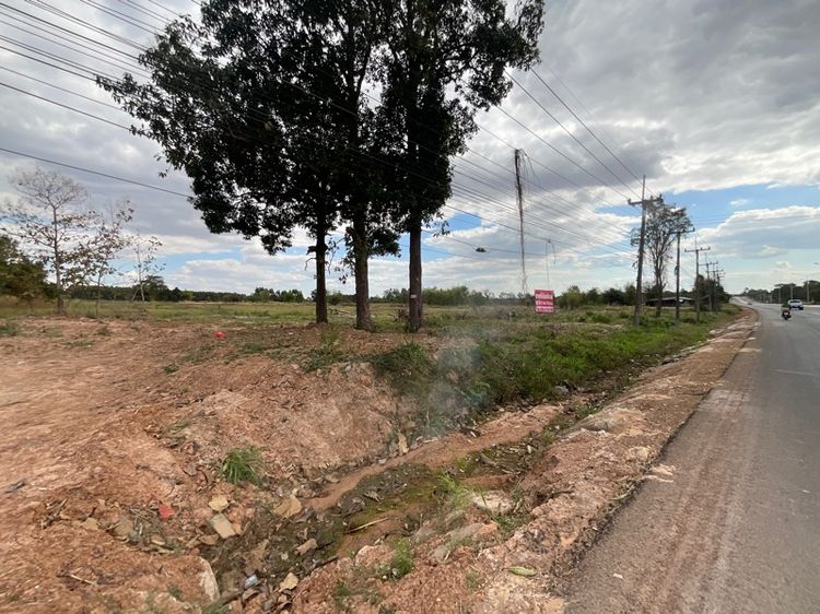 ไม่ใช่ ขายที่ดินติดถนน 4 เลน ปากทางเขื่อนลำปาว อำเภอเมือง จังหวัดกาฬสินธุ์ รูปที่ 3