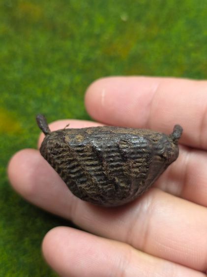 เบี้ยแก้หลวงปู่บุญเก่าๆ