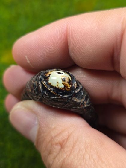 แหวนพิรอดเก่าๆไม่ทราบที่ รูปที่ 2