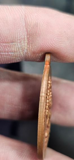 เหรียญนาคปรกหลวงปู่ทิมวัดระหารไร่ปี 2518 รูปที่ 9