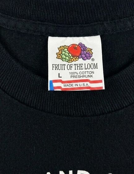Fruit of the Loom 80's Smithsonian Institution Earth" National Air and Space Museum T-Shirt Made in USA. รูปที่ 3