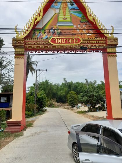 ใช่ ทึดินจัดสรร รูปที่ 3