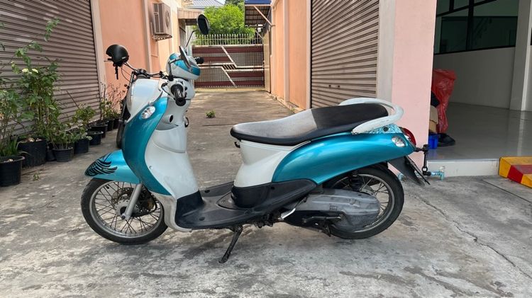 ฟีโน่ รูปที่ 2