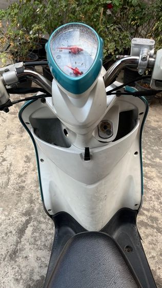 ฟีโน่ รูปที่ 6