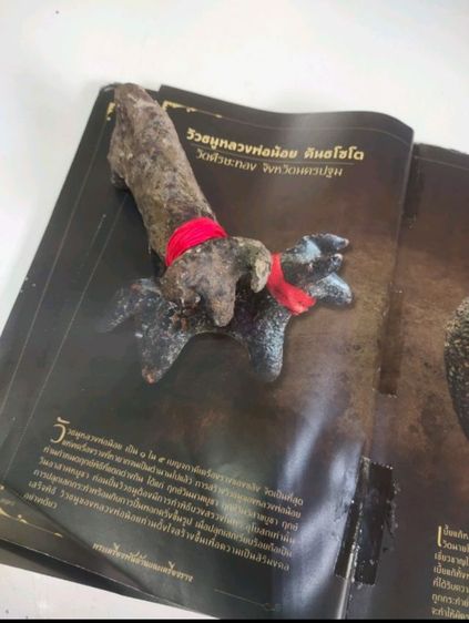 วัวธนูหลวงพ่อน้อย คันธโชโต วัดศรีษะทอง จังหวัดนครปฐม ตัวใหญ่  รูปที่ 2