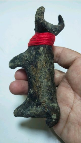 วัวธนูหลวงพ่อน้อย คันธโชโต วัดศรีษะทอง จังหวัดนครปฐม ตัวใหญ่  รูปที่ 3