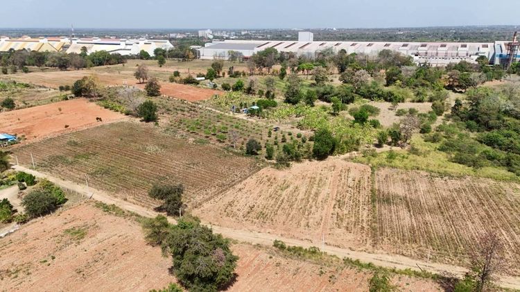 ตัดใจขายขายที่ดินเมืองโคราช   1-3-50 ไร่   วาล่ะ 3 000 บ  2 25 ลบ  เหมาะสร้างบ้านสวน ฟาร์มฯ ต โคกกรวด ตรงข้ามAIS รูปที่ 3