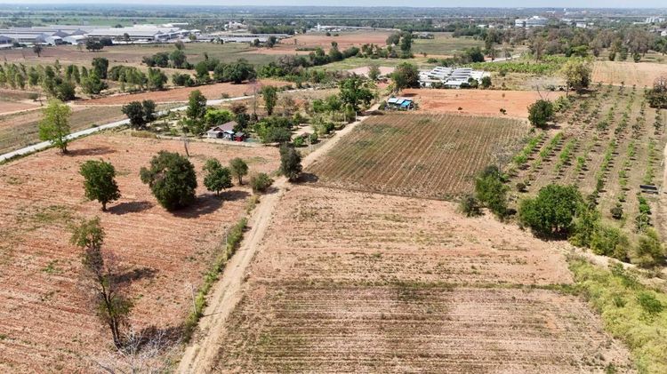 ตัดใจขายขายที่ดินเมืองโคราช   1-3-50 ไร่   วาล่ะ 3 000 บ  2 25 ลบ  เหมาะสร้างบ้านสวน ฟาร์มฯ ต โคกกรวด ตรงข้ามAIS รูปที่ 4