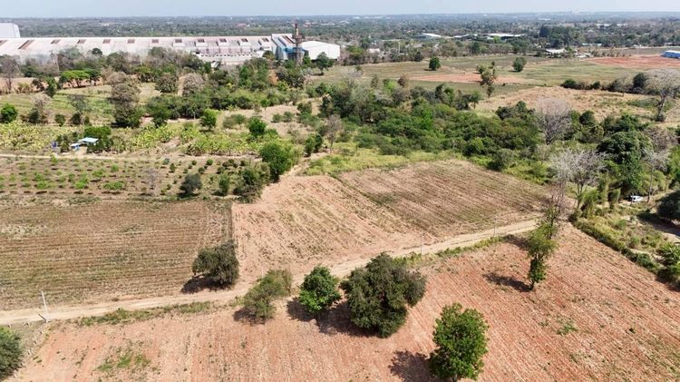 ตัดใจขายขายที่ดินเมืองโคราช   1-3-50 ไร่   วาล่ะ 3 000 บ  2 25 ลบ  เหมาะสร้างบ้านสวน ฟาร์มฯ ต โคกกรวด ตรงข้ามAIS รูปที่ 2