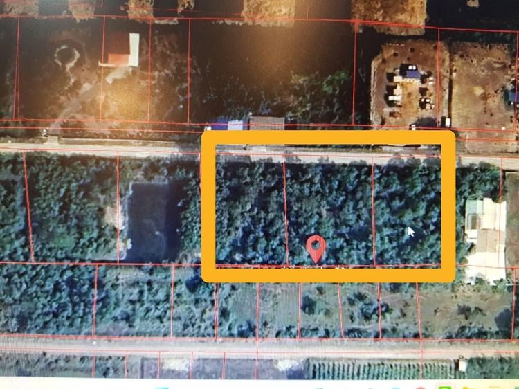 ขาย ที่ดืนเปล่า 3 ไร่ หน้าที่ดินติดถนนคอนกรีต ติดวัดธรรมกาย  คลองหลวง ปทุมธานี