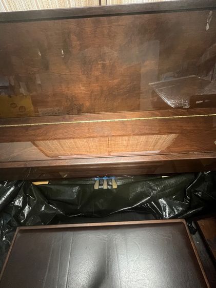 piano รูปที่ 4