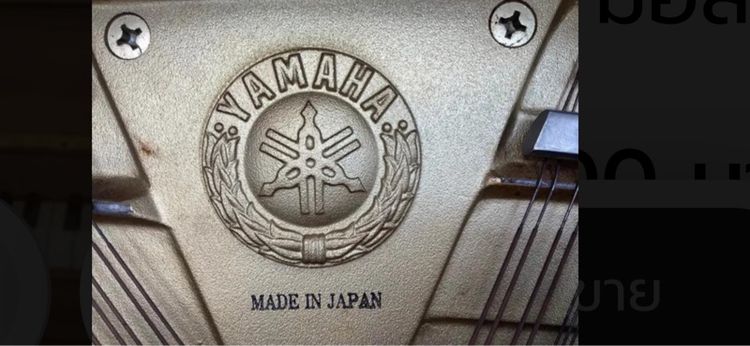 piano รูปที่ 3