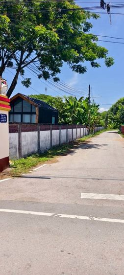 อื่นๆ มีบางส่วน 2020 ขายที่ดินสวยพร้อมบ้านน็อคดาวน์ วิวดอย ข้างหน้าทุ่งนาเขียวทั้งปี  ทำเลเยี่ยม อยู่หน้าถนน และซอย ค้าขายได้  รูปที่ 4