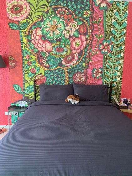 ให้เช่าบ้านกลางเมือง เกษตร-นวมินทร์ ซ.นวมินทร์ 70 แยก 11-2 ใกล้กับ Chocolate Ville