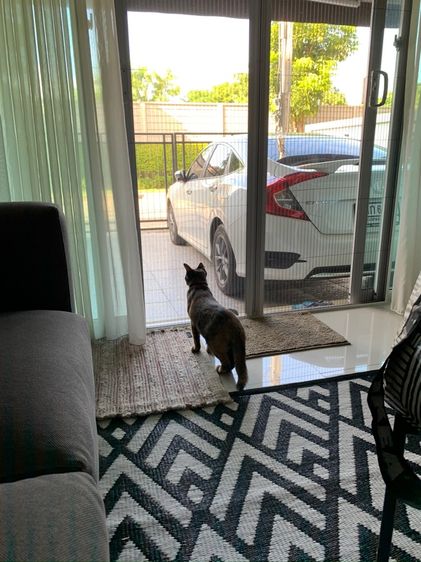 AP (Thailand) 2014 ตกแต่งครบ ใช่ ให้เช่าบ้านกลางเมือง เกษตร-นวมินทร์ ซ.นวมินทร์ 70 แยก 11-2 ใกล้กับ Chocolate Ville รูปที่ 4