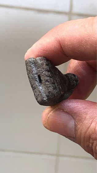 พระหลวงปู่ทวดเนื้อว่าน รุ่นพินัยกรรม พิมพ์ใหญ่ ปี2505 รูปที่ 5