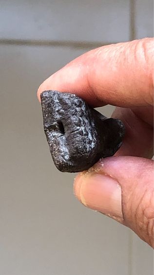 พระหลวงปู่ทวดเนื้อว่าน พิมพ์ใหญ่หูขีด วัดช้างให้ ปี2497 รูปที่ 5