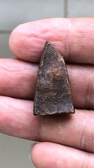 พระผงสุพรรณ พิมพ์หน้าแก่ รูปที่ 2